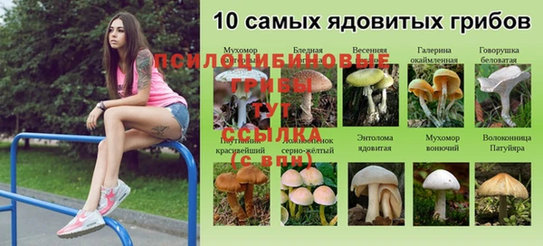 первитин Алексин