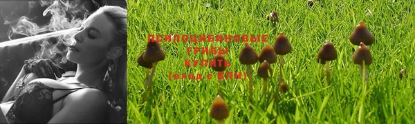 MESCALINE Алзамай