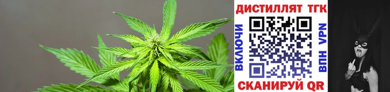 Дистиллят ТГК гашишное масло  купить закладку  Раменское 