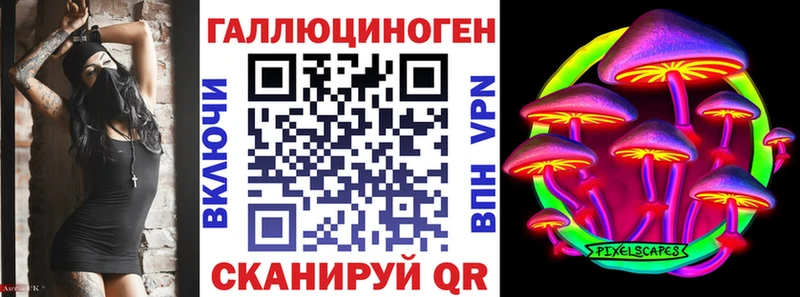 ссылка на мегу вход  Раменское  Галлюциногенные грибы Psilocybe 